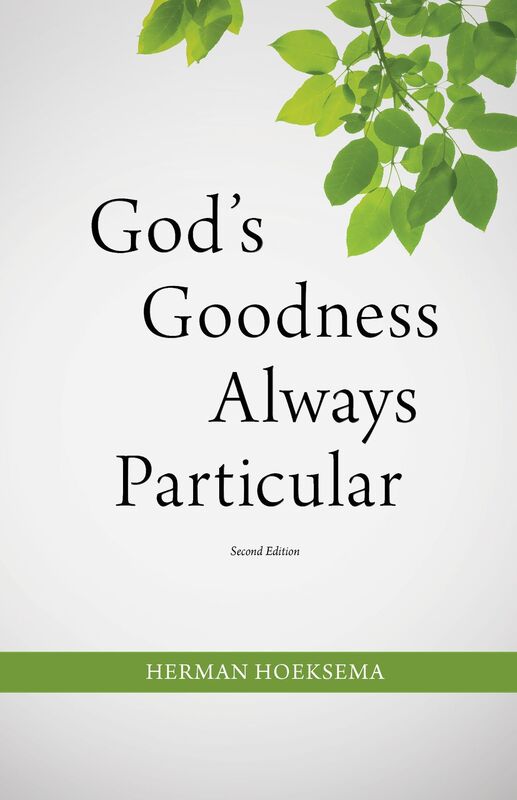 God's Goodness Always Particular