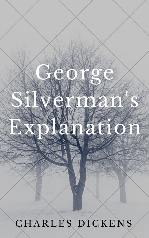 George Silverman's Explanation (Annotated & Illustrated)