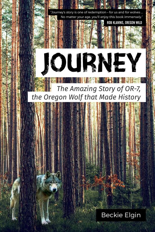 Journey: The Amazing Story of OR-7, the Oregon Wolf that Made History