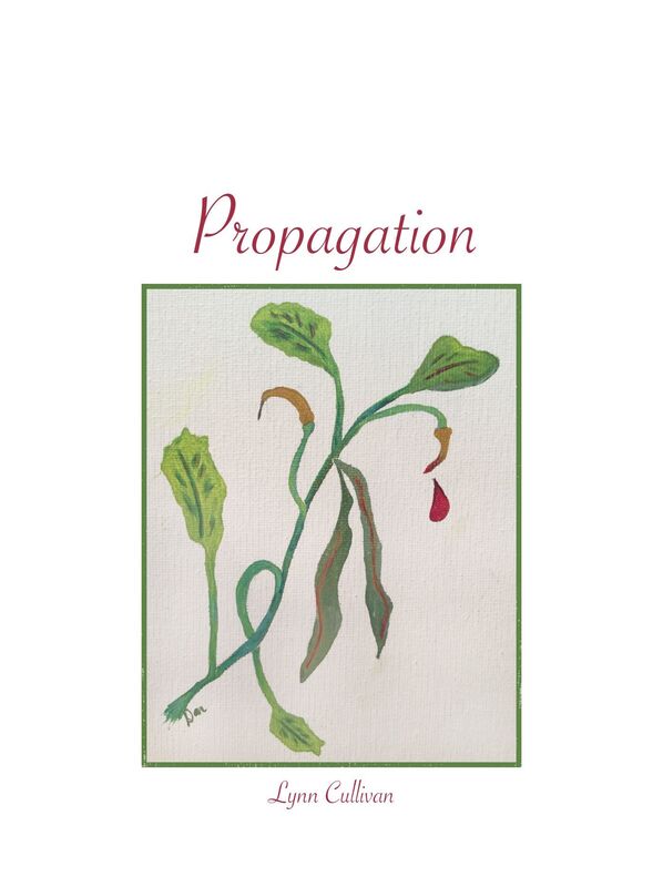 Propagation: A Short Story