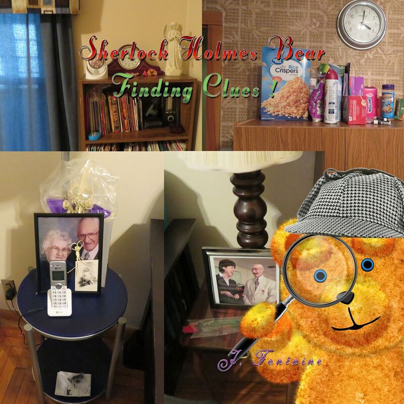 Sherlock Holmes Bear Finding Clues