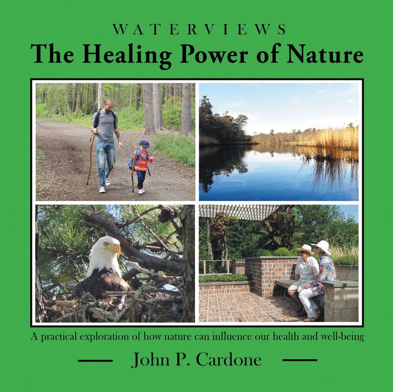 The Healing Power of Nature: A practical exploration of how nature can influence our health and well-being