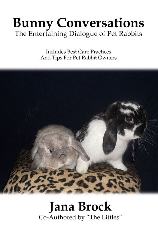 Bunny Conversations - The Entertaining Dialogue of Pet Rabbits