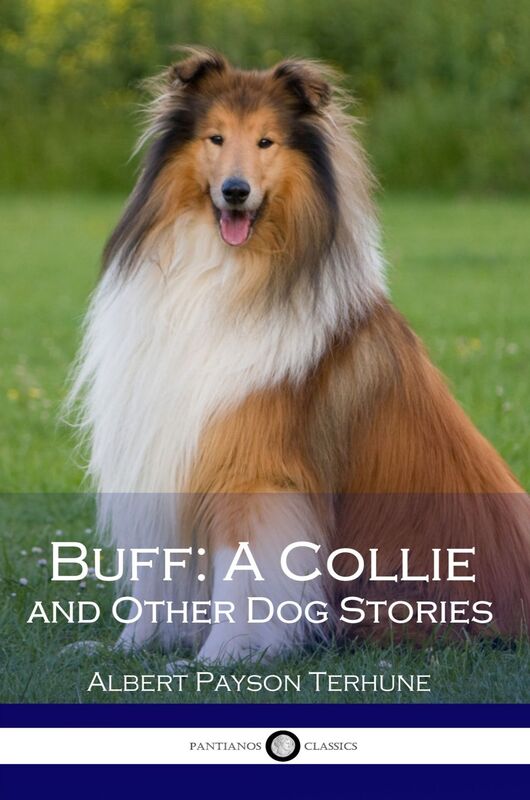Buff A Collie and Other Dog Stories