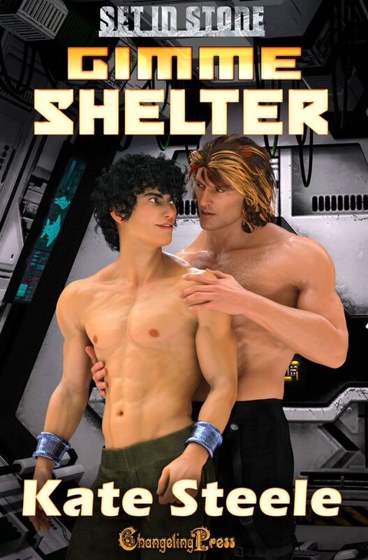 Gimme Shelter (Set in Stone Multi-Author)