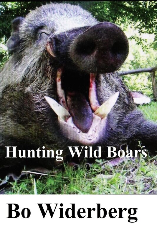 Hunting Wild Boars