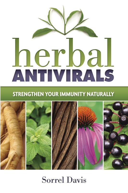 Herbal Antivirals: Strenghten Your Immunity Naturally