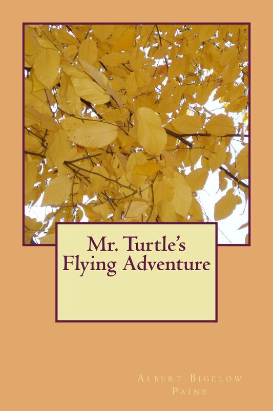 Mr. Turtle's Flying Adventure (Illustrated Edition)