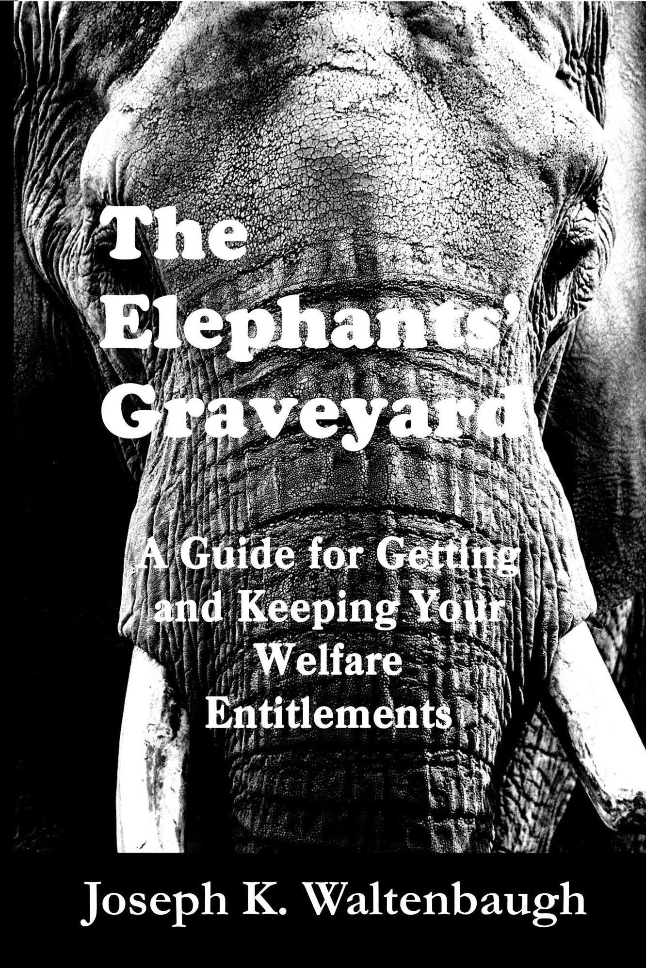 The Elephants' Graveyard: A Guide for Getting and Keeping Your Welfare Entitlements