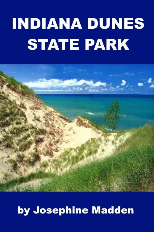 The Indiana Dunes State Park for Kids