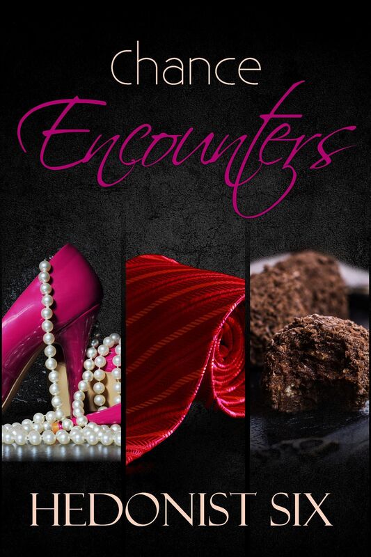 Chance Encounters: The Collection: A Bundle of Sexy Contemporary Romance