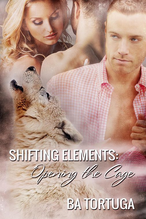 Opening the Cage