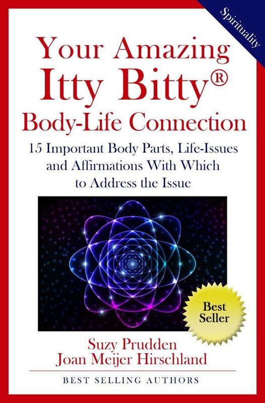 Your Amazing Itty Bitty Body-Life Connection Book