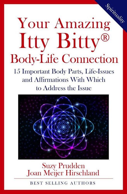 Your Amazing Itty Bitty Body-Life Connection Book