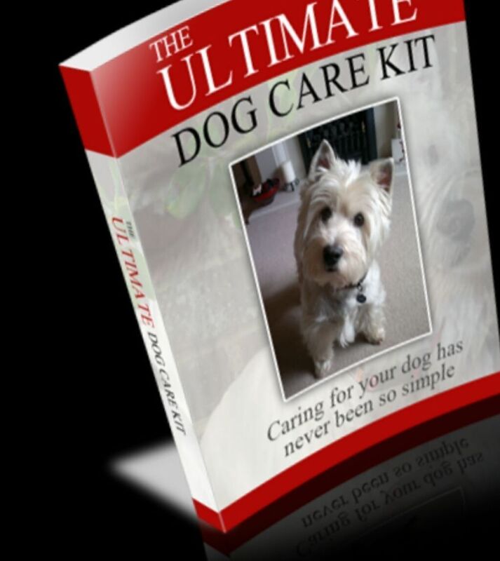 Ultimate Dog Care Kit