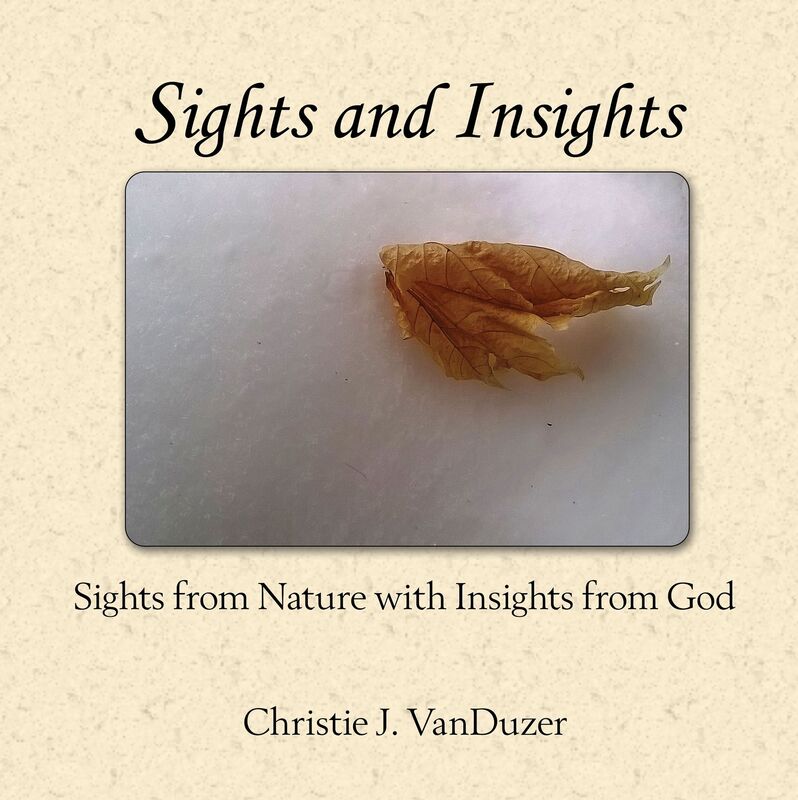 Sights and Insights