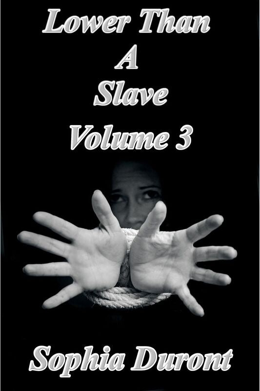 Lower Than A Slave Volume 3