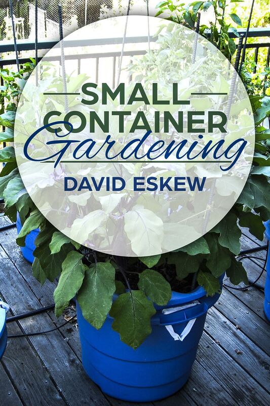 Container Gardening