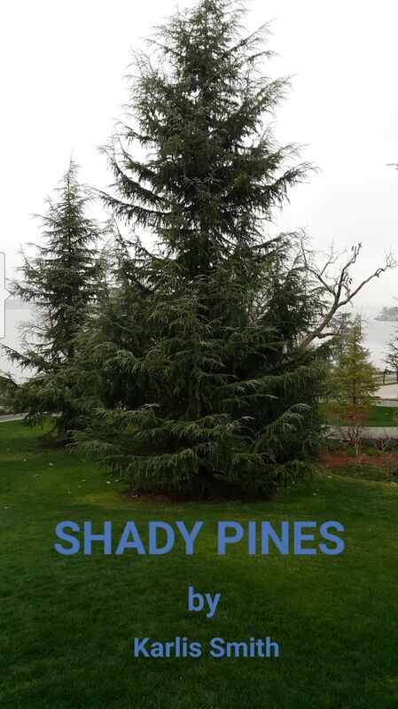 Shady Pines