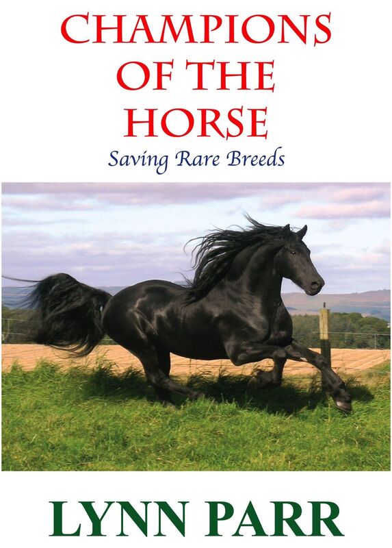 Champions of the Horse: Saving Rare Breeds
