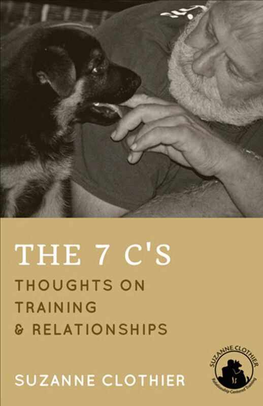 The 7 C's: Thoughts On Training & Relationships