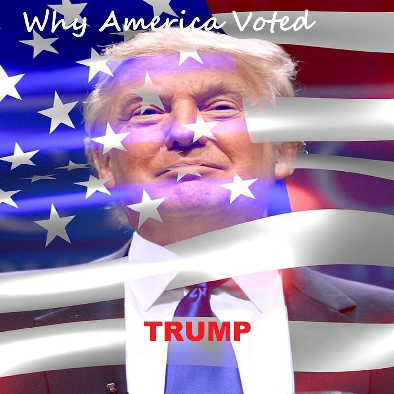 Why America Voted Trump