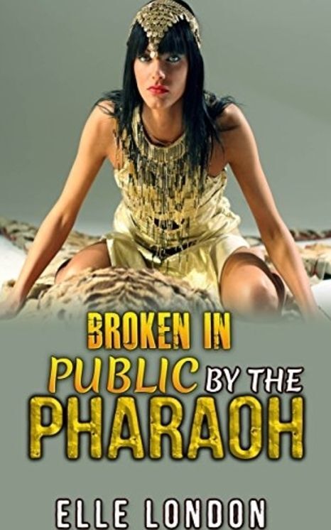 Broken In Public By The Pharaoh
