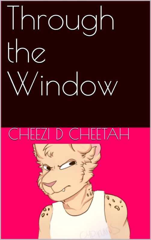 Through the Window