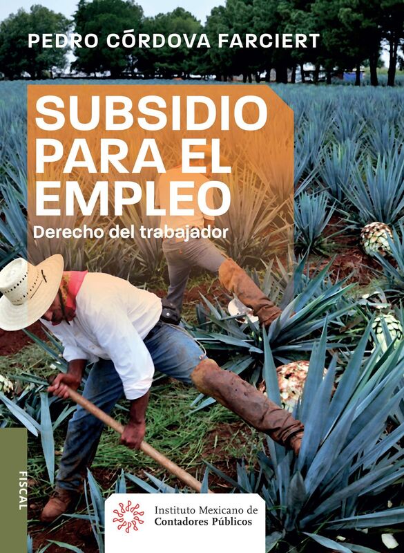 Subsidio para el empleo. Derecho del trabajador