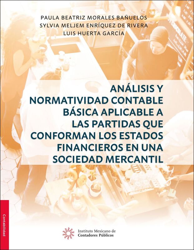Analisis y Normatividad Contable basica aplicable a las partidas que conforman los estados financieros en una sociedad mercantil