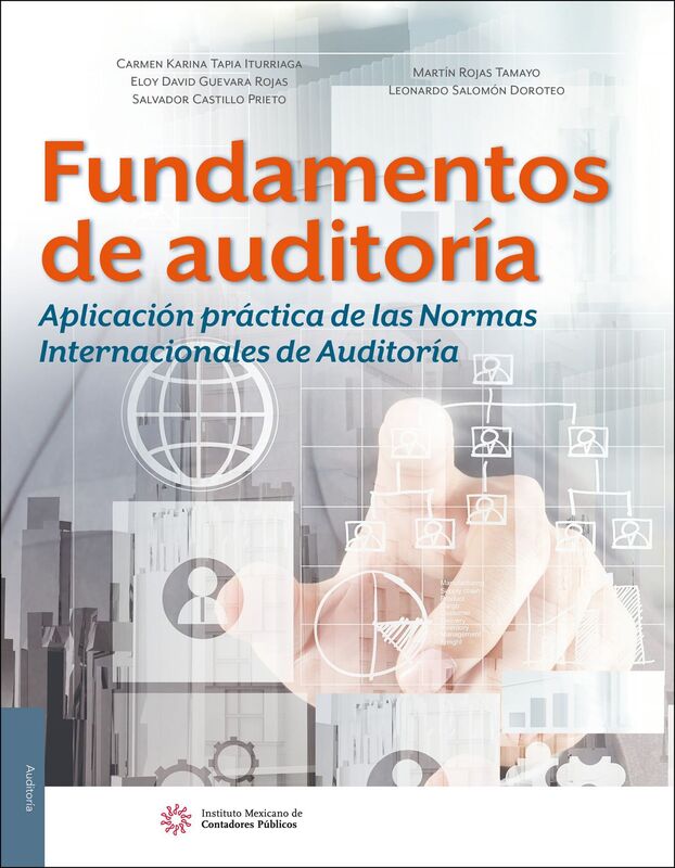 Fundamentos de auditoria. Aplicacion practica de las Normas Internacionales de Auditoria