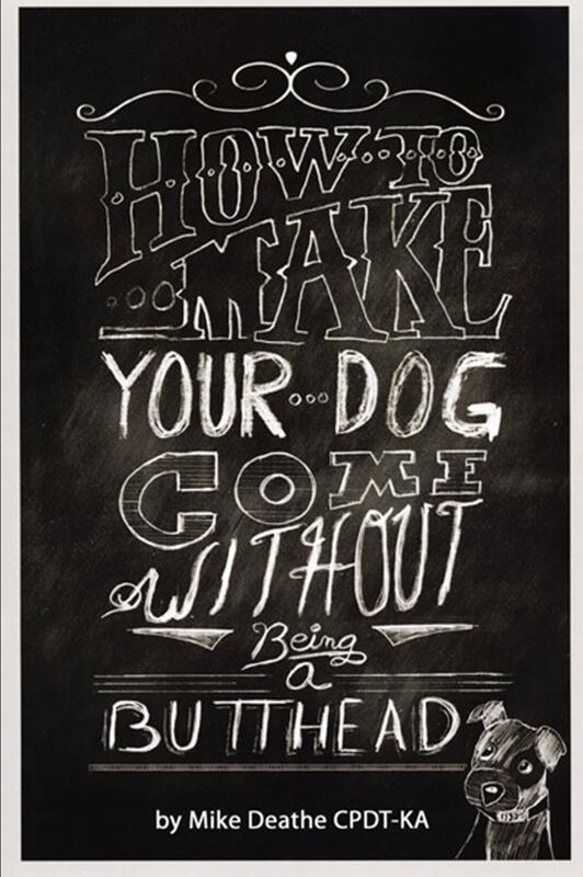 How To Make Your Dog Come Without Being A Butthead