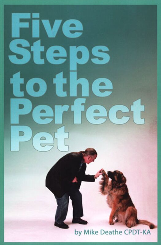 Five Steps To The Perfect Pet