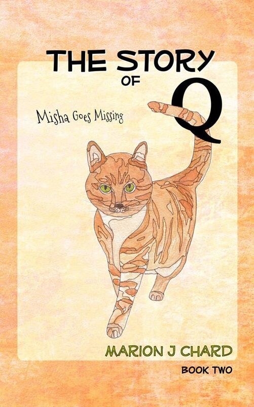 The Story of Q - Misha Goes Missing