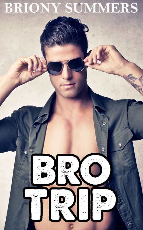 Bro Trip (MMMM Group Erotic Novel)