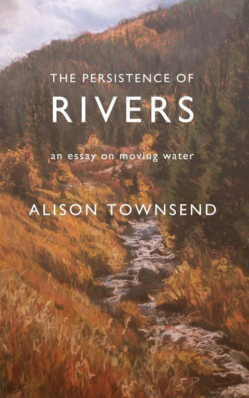 The Persistence Of Rivers: an essay on moving water