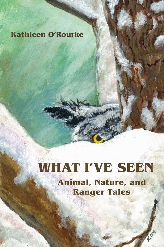 What I've Seen: Animal, Nature and Ranger Tales