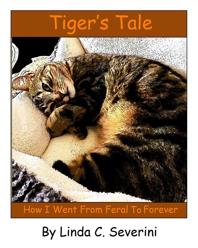 Tiger's Tale