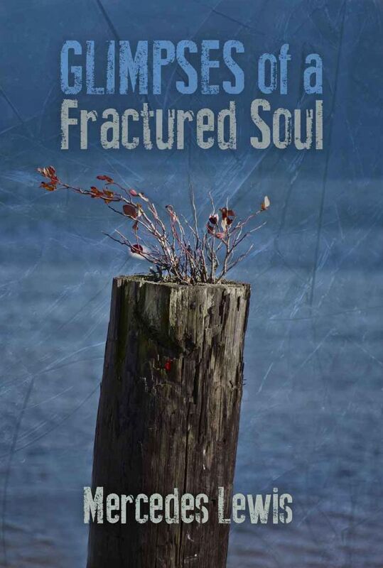 Glimpses of a Fractured Soul