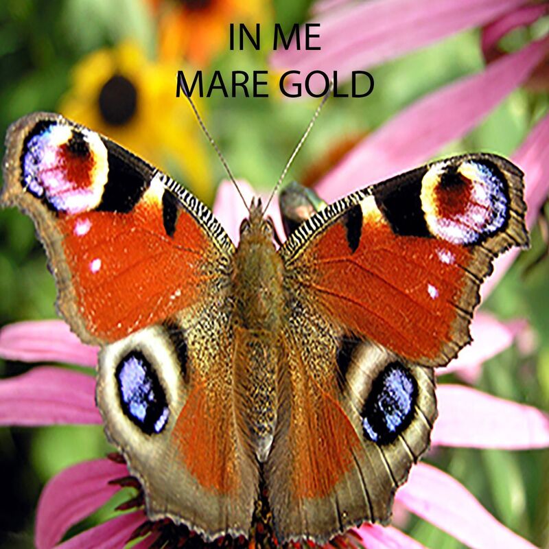 In Me