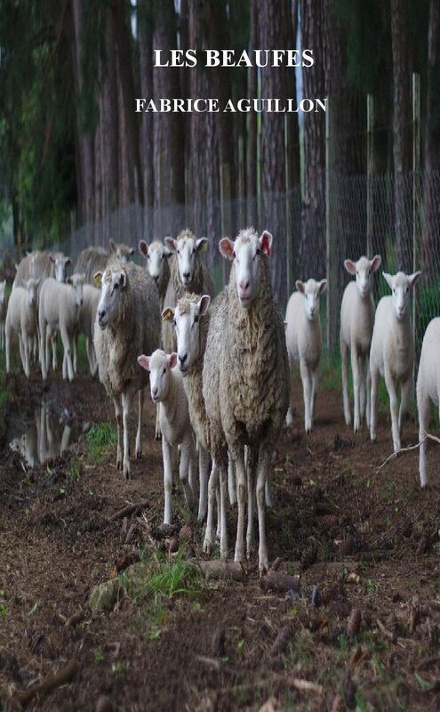 LES BEAUFES