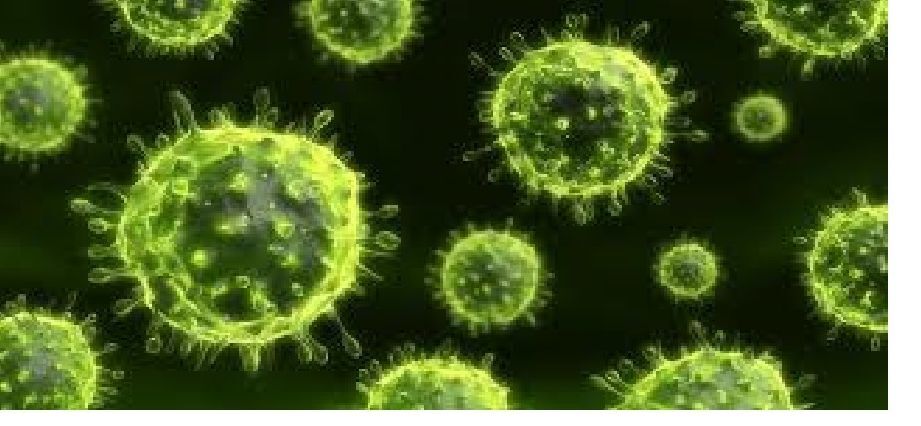 The Virus