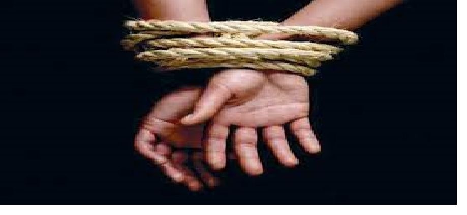 The Kidnap