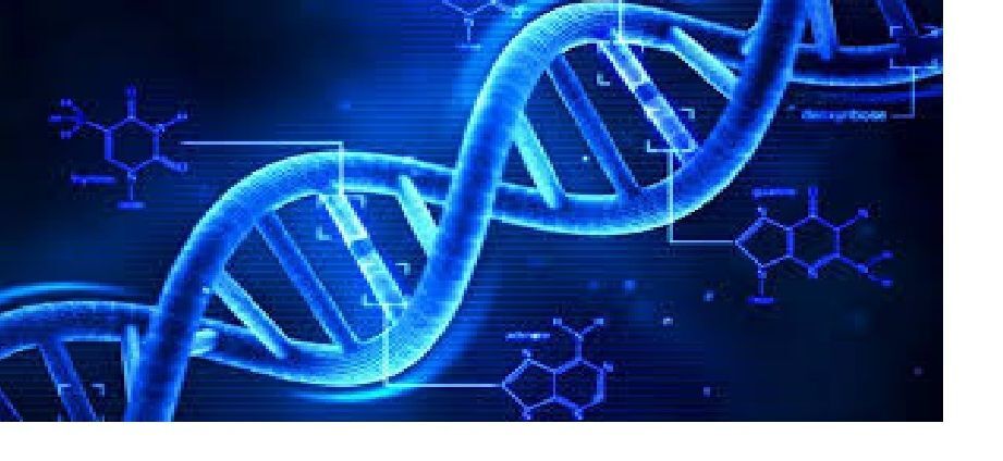 DNA Wars