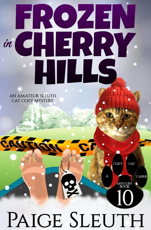 Frozen in Cherry Hills