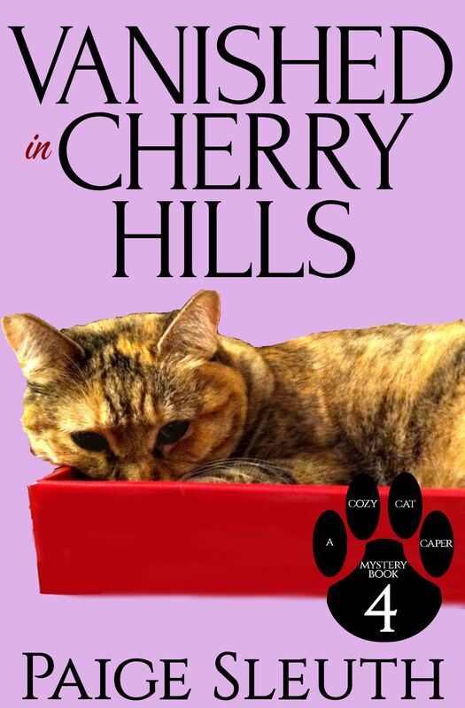 Vanished in Cherry Hills