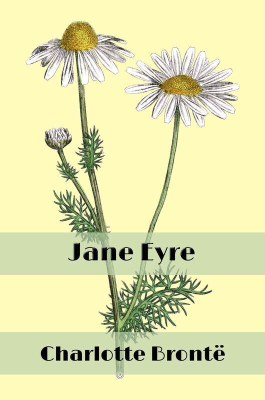 Jane Eyre (Illustrated Edition)