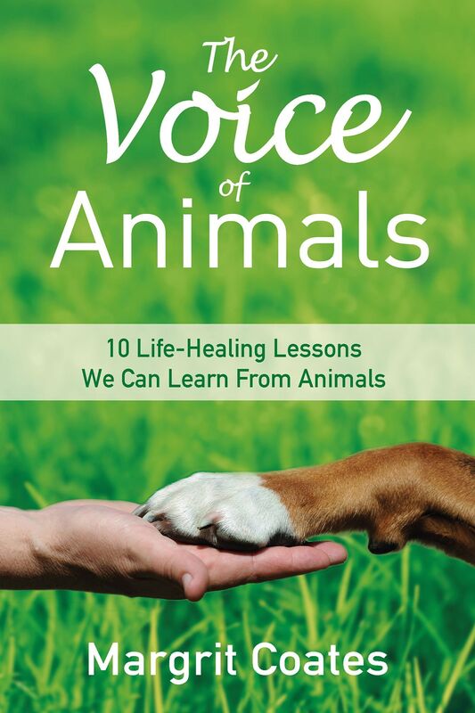 The Voice of Animals