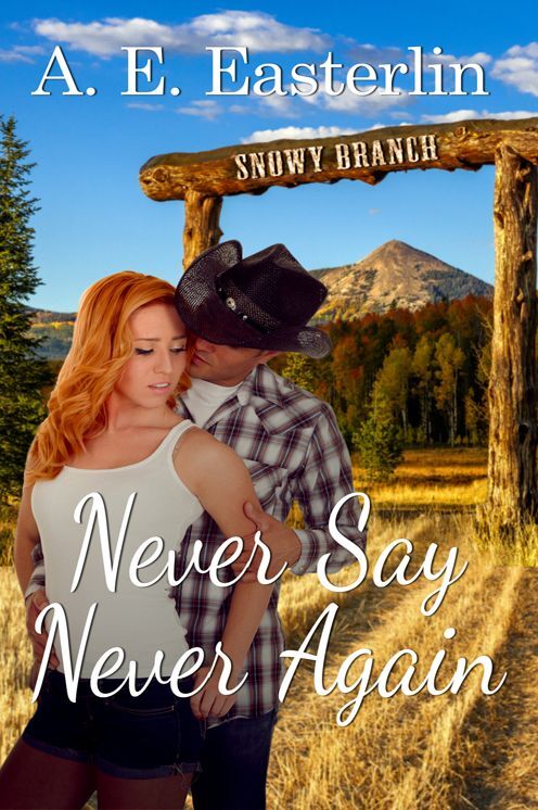 Never Say Never Again