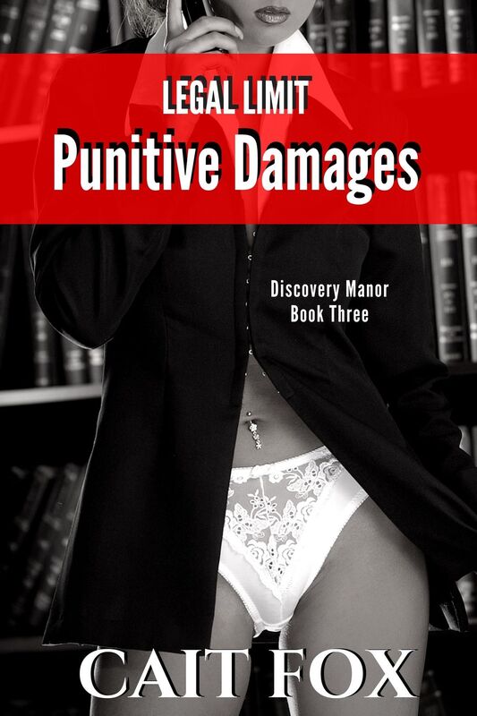Legal Limit: Punitive Damages